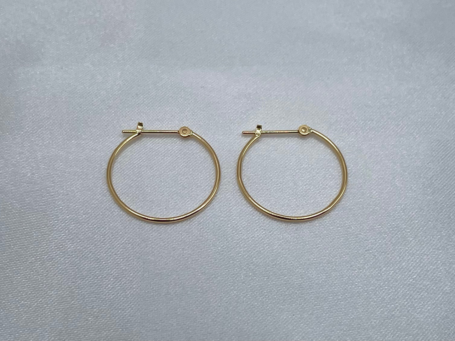 Large (1x20) Hoop Earrings (Pair)